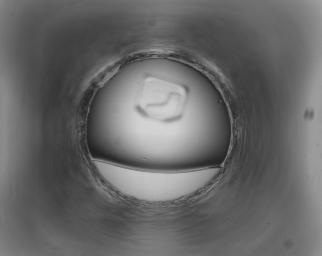 X0000096941448200802080848