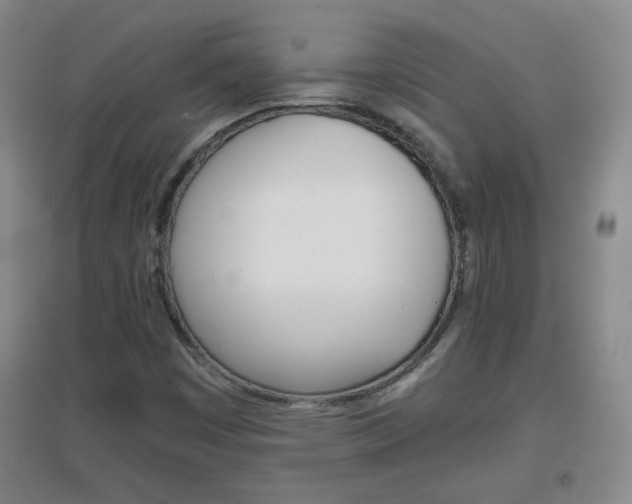 X0000096941449200802080848