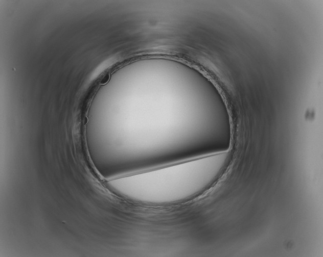X0000096941450200802080848
