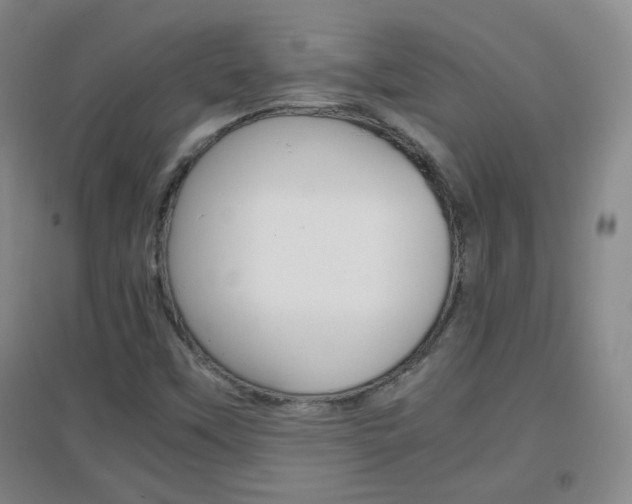 X0000096941451200802080848