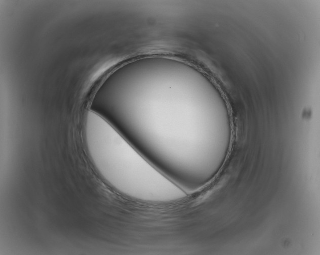 X0000096941453200802080848