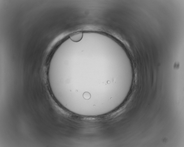X0000096941454200802080848