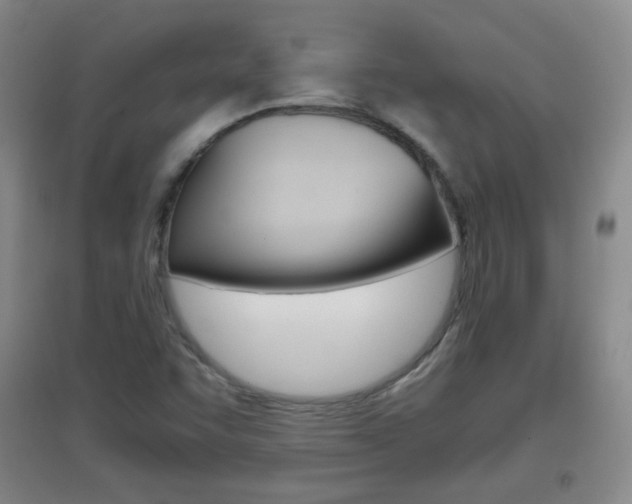X0000096941455200802080848