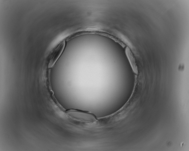 X0000096941456200802080848