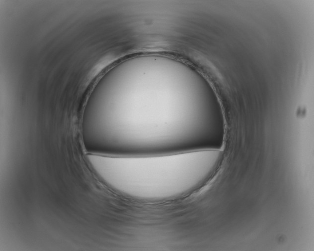 X0000096941457200802080848