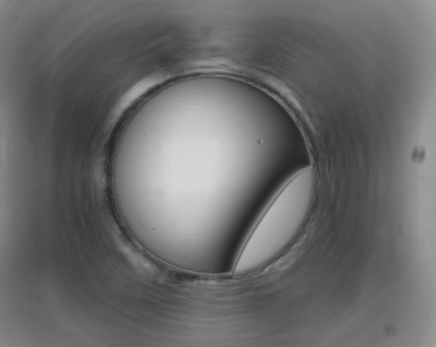 X0000096941458200802080848