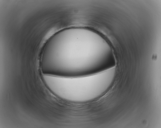 X0000096941459200802080848