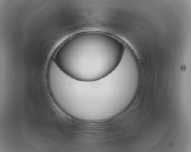 X0000096941460200802080848