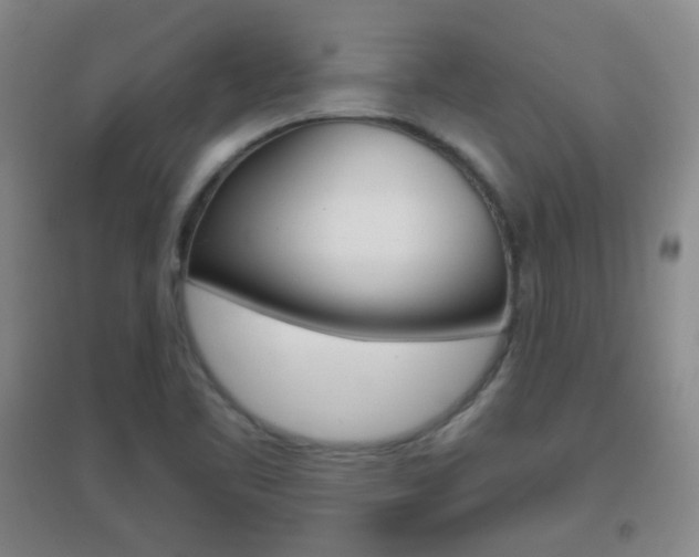 X0000096941461200802080848