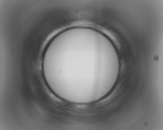 X0000096941462200802080848