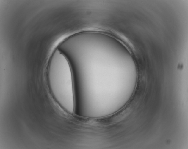 X0000096941463200802080848