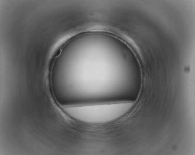 X0000096941464200802080848