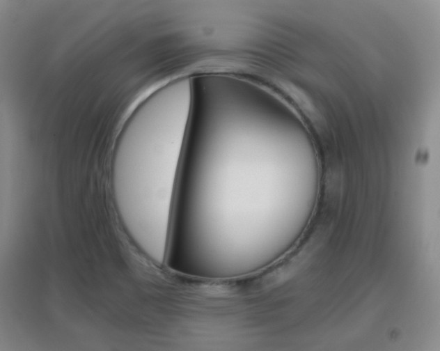X0000096941465200802080848