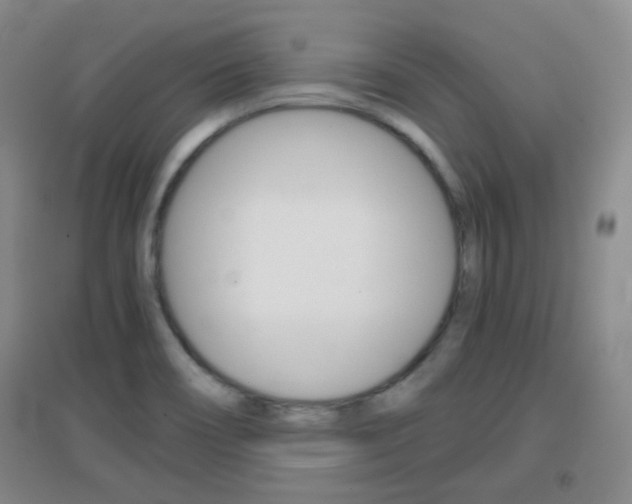 X0000096941466200802080848