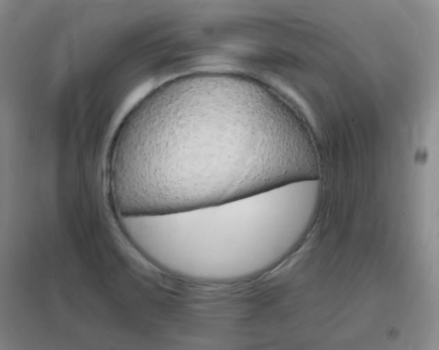 X0000096941467200802080848