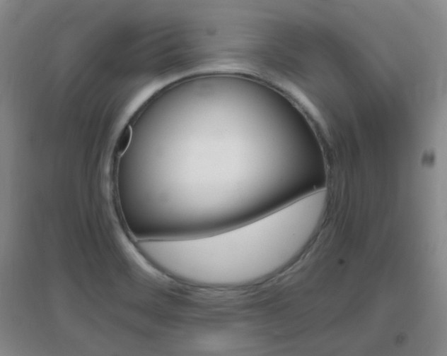 X0000096941468200802080848