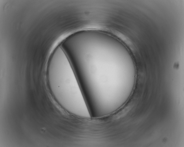 X0000096941469200802080848