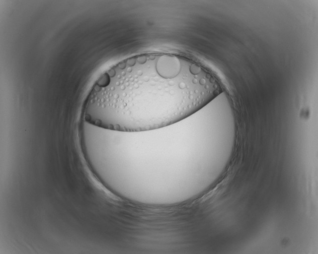 X0000096941471200802080848