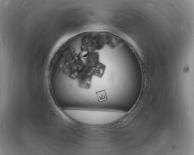 X0000096941472200802080848