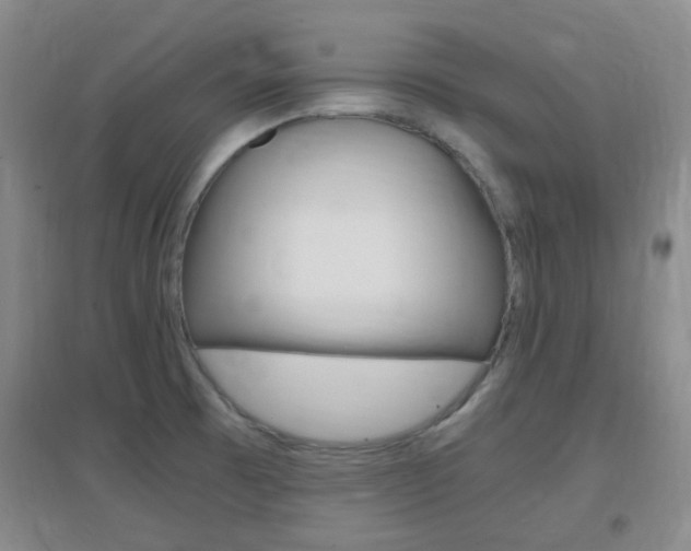 X0000096941473200802080848