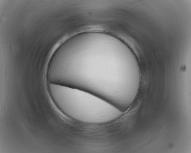 X0000096941475200802080848
