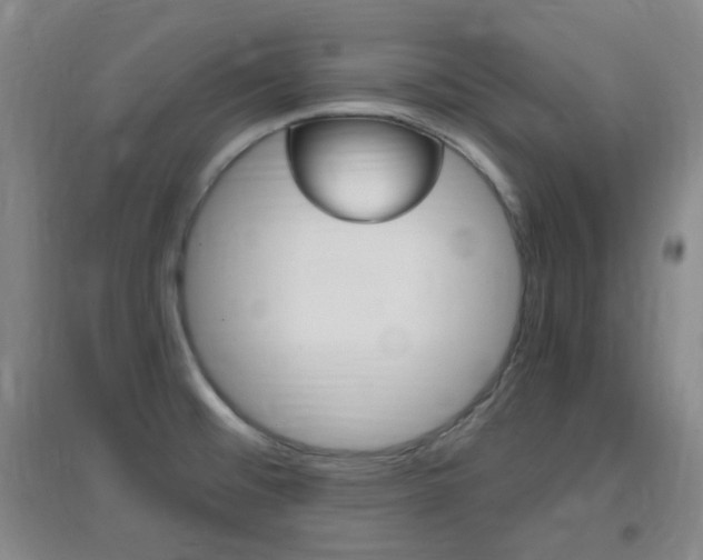 X0000096941476200802080848
