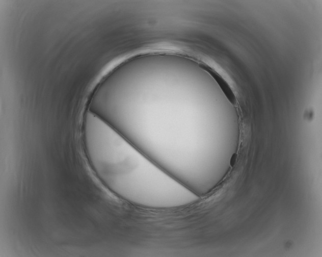 X0000096941477200802080848