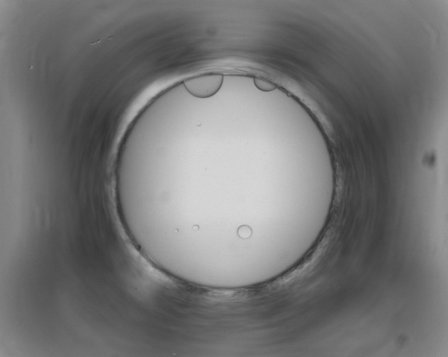 X0000096941478200802080848