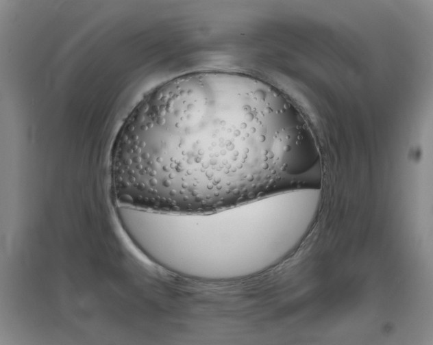 X0000096941479200802080848