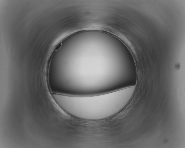 X0000096941480200802080848