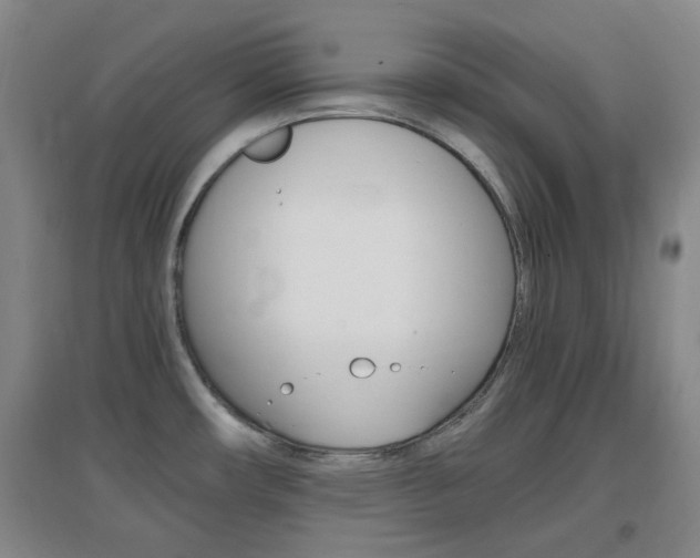 X0000096941482200802080848