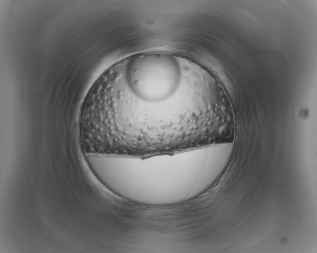 X0000096941483200802080848