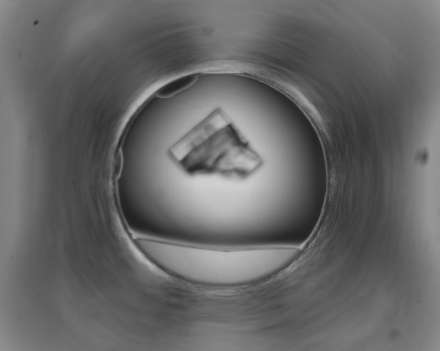 X0000096941484200802080848