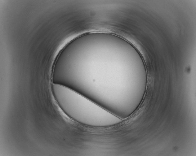 X0000096941485200802080848