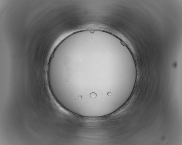 X0000096941486200802080847
