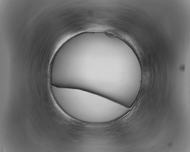 X0000096941487200802080847