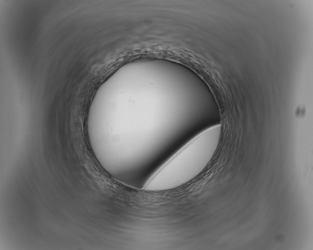 X0000096941489200802080847