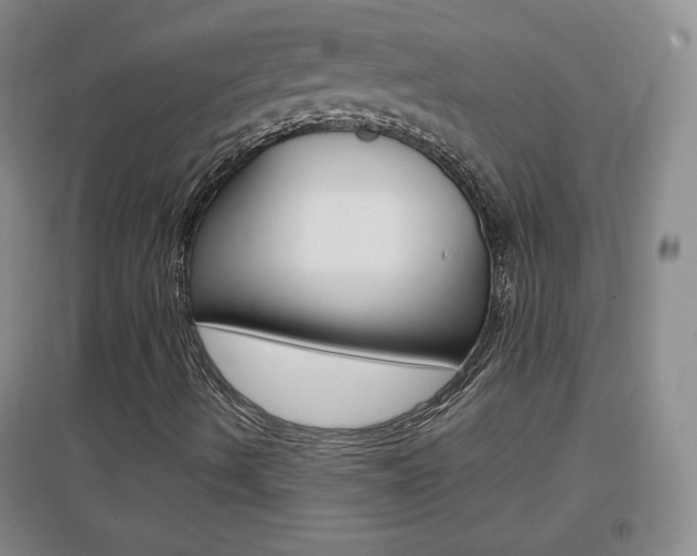 X0000096941490200802080847