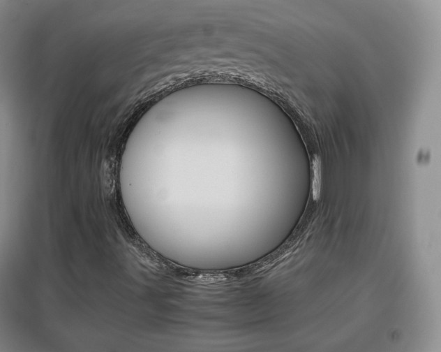 X0000096941491200802080847