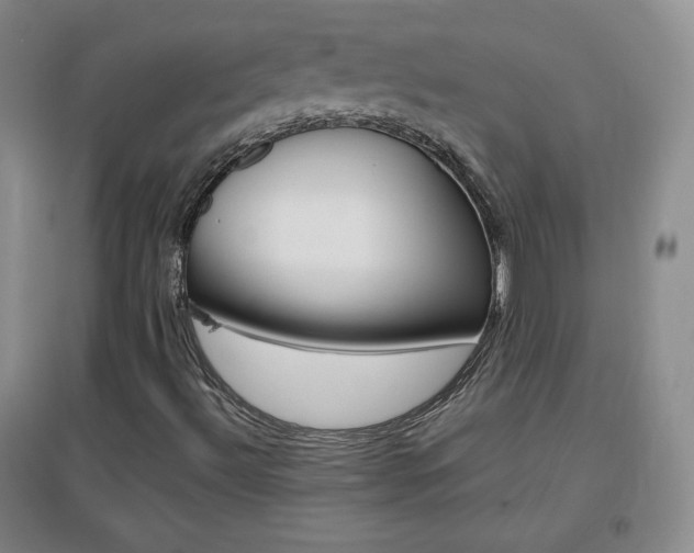 X0000096941492200802080847