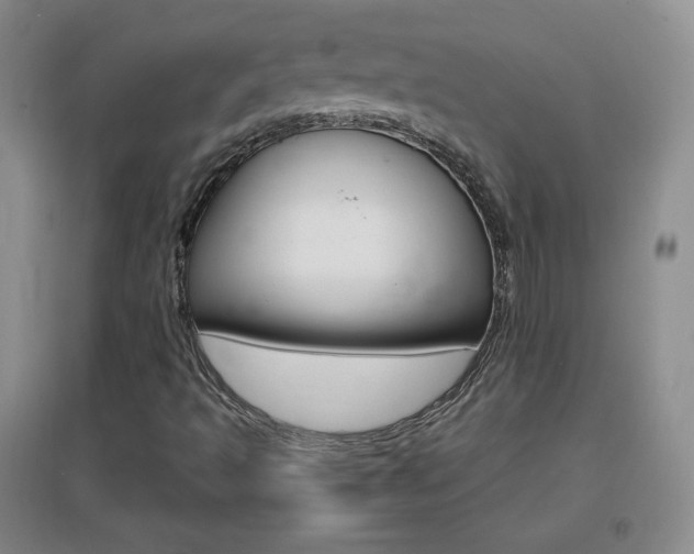 X0000096941493200802080847