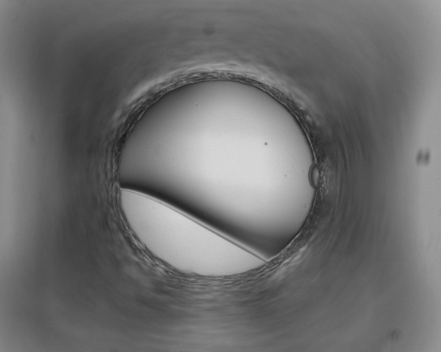 X0000096941494200802080847