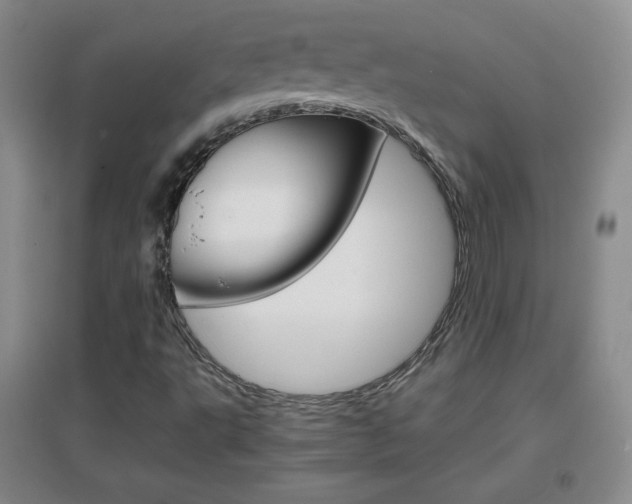 X0000096941495200802080847