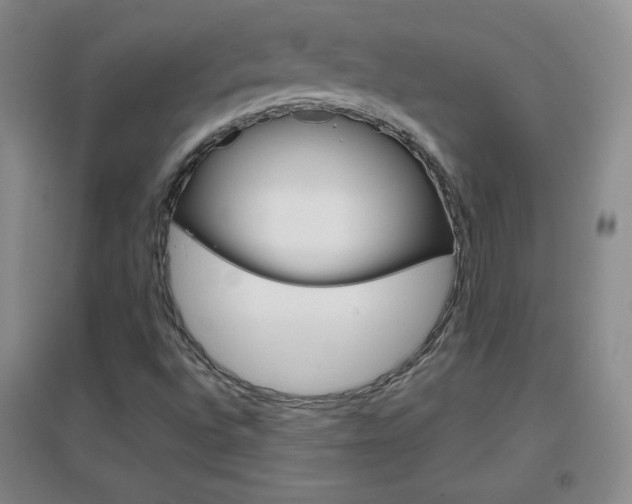 X0000096941496200802080847