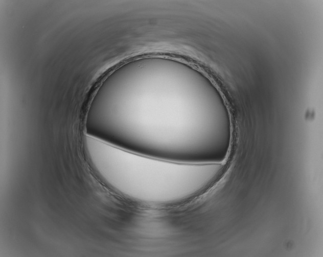 X0000096941497200802080847
