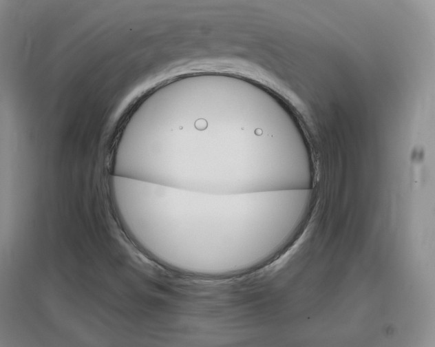 X0000096941498200802080847