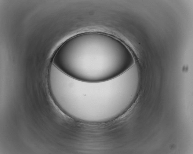 X0000096941500200802080847