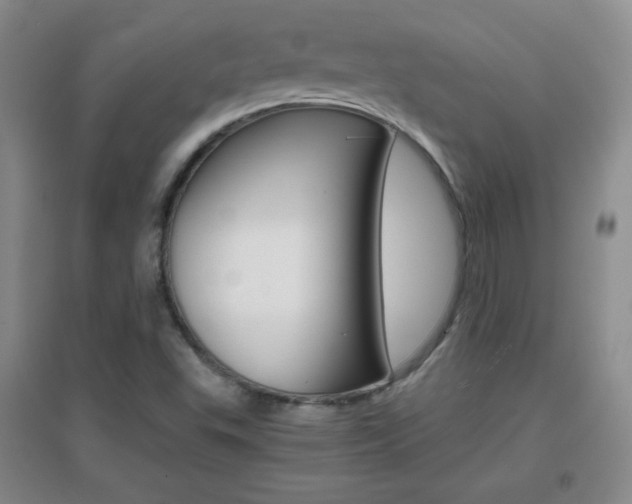 X0000096941503200802080847