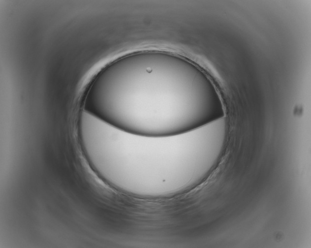 X0000096941504200802080847