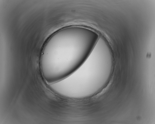 X0000096941505200802080847